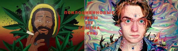 не бодяженный Аркадак