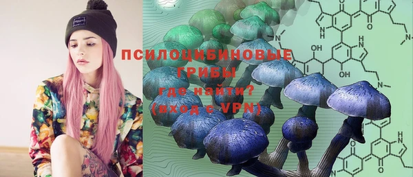 не бодяженный Аркадак