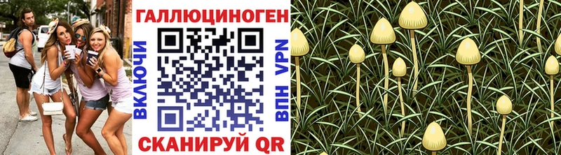 Псилоцибиновые грибы мицелий купить цена Бокситогорск